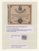 Saudi Arabia - Hedschas: 1904/1918 (c.)- "HEDJAZ RAILWAY": Specialized Collectio - Arabie Saoudite