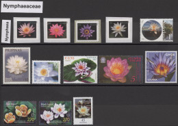 Thematics: Flora-orchids: 1960/2010 (ca.), PFLANZEN-Sammlung Auf Absolutem Weltn - Orchidées