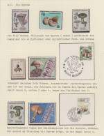 Thematics: Mushrooms: 1900/2006, Extensive Thematic Collection THE SECRET WORLD - Champignons