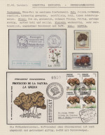 Thematics: Mushrooms: 1964/1994, Exhibition Collection THE SECRET WORLD OF MYCOL - Hongos