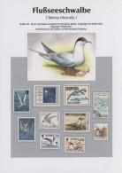 Thematics: Animals-birds: 1960/2000 (ca.), Comprehensive Thematic Collection Wit - Otros & Sin Clasificación