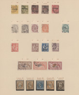 French Post Offices In The Levant: 1857/1903, Petty Used Collection On Leaves In - Other & Unclassified