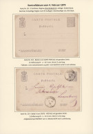 Luxembourg - Postal Stationery: 1879, Hochspezialisierte Sammlung Der Ganzsachen - Stamped Stationery