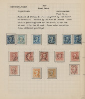 Netherlands: 1852/1940 Ca., Interesting Mint/used Collection On Self-designed Al - Altri & Non Classificati