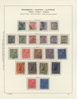 Österreich - Nebengebiete: 1850/1918, Gestempelte Sammlung Im Schaubek-Vordruck - Altri & Non Classificati