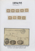 Österreich - Portomarken: 1894/1917, Spezialsammlung Im Ringbinder, Mit Vielen B - Postage Due