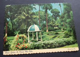St. Vincent - Botanic Gardens - Photo Larry Witt - Dexter Press - Publisher Reliance Printery, St. Vincent, # DT-53655-C - Saint Vincent E Grenadine