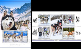 Guinea 2023, Animals, Sledge Dogs, 4val In BF +BF - Faune Arctique