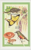Madagascar Madagaskar 1998 Mi. Bl. 280B Papillon Butterfly Schmetterling Champignon Mushroom Pilz Oiseau Vogel Bird - Altri & Non Classificati