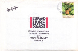 POLYNESIE SEUL SUR LETTRE POUR LA FRANCE 1991 - Lettres & Documents