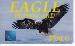 TARJETA DE HOLANDA DE UN AGUILA (EAGLE) - Eagles & Birds Of Prey