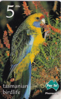 TARJETA DE AUSTRALIA DE UN LORO (BIRD-PAJARO) PARROT - Sonstige & Ohne Zuordnung