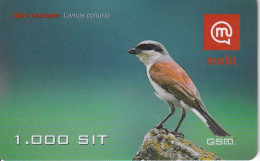 TARJETA DE ESLOVENIA DE UN PAJARO (BIRD-PAJARO) - Sonstige & Ohne Zuordnung