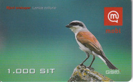 TARJETA DE ESLOVENIA DE UN PAJARO (BIRD-PAJARO) - Andere & Zonder Classificatie