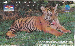 TARJETA DE INDONESIA DE UN TIGRE (TIGER) - Indonesia