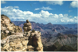 UNITED STATES, ARIZONA, GRAND CANYON, PANORAMA, NATIONAL PARK, DUCK ON THE ROCK - Gran Cañon