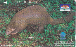 TARJETA DE INDONESIA DE UN ARMADILLO - Indonesië