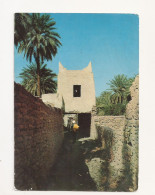 FA5 - Postcard - LIBYA - Ghadames, Circulated - Libya