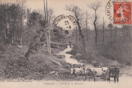 PLUSQUELLEC PRES DE CALLAC 22  ( VALLEE DE LA BOISSIERE ) 1918 - Callac