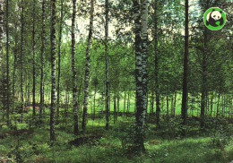 FINLAND, KOIVIKKO LIFESTYLE CENTER, TREES - Finland