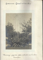 INDOCHINE - 1887 - Lot De 6 Photos - Voyage Du Tzar Ferdinand De Bulgarie En Indochine Avec Le Botanique J. Kellerer - Asie