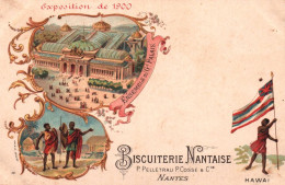 Biscuiterie Nantaise - Cpa Chromolithographie , Exposition 1900 - Ensemble Du Grand Palais - HAWAÏ - Nantes , Pub - Werbepostkarten