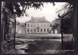 +++ CPSM - FLEURUS - Château De La Paix...Napoléon  // - Fleurus