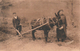 *** 24  ***    En Périgord   Labourage Rustique -- Neuve TTB  - Culturas