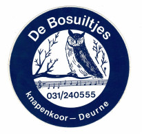 Sticker Autocollant De Bosuiltjes Knapenkoor Deurne Bosuil Owl Uil Hibou - Stickers