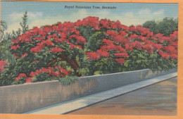 Bermuda Old Postcard - Bermudes