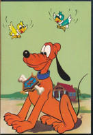 °°° 30521 - DISNEY - PLUTO °°° - Disneyworld