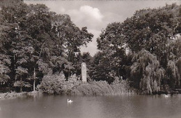 AK 166811 GERMANY - Ostseebad Heiligenhafen - Schwanenteich - Heiligenhafen