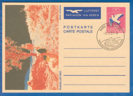 Liechtenstein; Postkarte; Nendeln 1987; Ruggeler Ried Von Bruno Kaufmann; Luftpost - Interi Postali