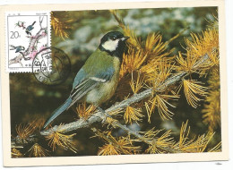 CHINA 20C BIRD CARTE MAXIMUM 1983 - Maximumkaarten