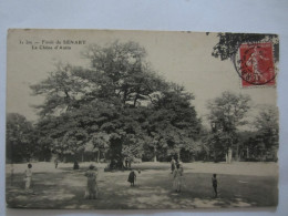 CPA   FORET DE SENART LE CHENE D ANTIN - Sénart