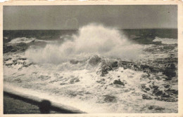 BELGIQUE - Wenduine - Tempête - Carte Postale Ancienne - Wenduine