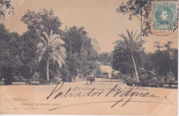 ESPAGNE - ESPANA - SEVILLA - SEVILLE - PARQUE DE MARIA LUISA - VUE DU PARC 1903 - Sevilla