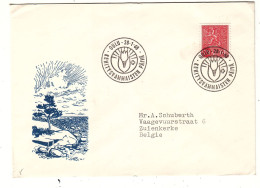 Finlande - Lettre De 1968 - Oblit Oulu - Fleurs - Tulipes - - Lettres & Documents