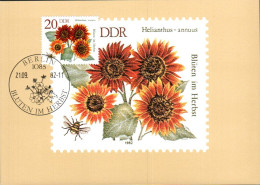 ALLEMAGNE RDA DDR CARTE MAXIMUM 1982 FLEUR HELIANTHUS - ANNUUS - Cartes-Maximum (CM)