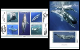 Guinea  2023 Whales. (210) OFFICIAL ISSUE - Whales