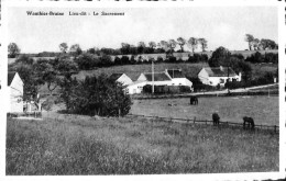 Belgique - Brabant Wallon - Wauthier-Braine - Lieu-dit - Le Sacrement - Braine-le-Chateau