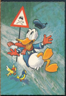 °°° 30534 - DISNEY - PAPERINO CHE SCIVOLA - 1964°°° - Disneyworld