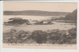 PLOGOFF - FINISTERE - POINTE DU RAZ - LA BAIE DES TREPASSES VUE DU HAUT DE LA FALAISE - Plogoff