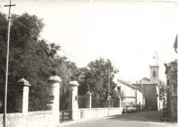 FRANCE - Cournonterral - Château Mallet - Carte Postale Ancienne - Montpellier