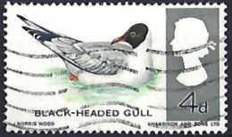 GB 1966 Black-headed Gull (Larus Ridibundus) Fu - Usati