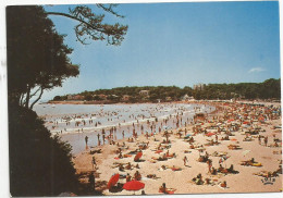 CPM   Vaux Sur Mer Plage De Nauzan - Vaux-sur-Mer