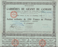 CARRIERES DE GRANIT DU CANIGOU -  ACTION DE 250 FRS  - ANNEE 1925 - Mines