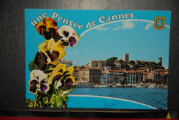 CP,06, Une Pensée De Cannes - Cannes