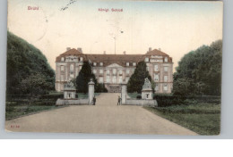 5040 BRÜHL, Königl. Schloß, Handcoloriert, 1909, Verlag Martini - Bruehl