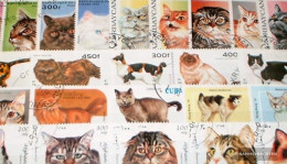 Motives Stamps-100 Different Cats Stamps - Chats Domestiques